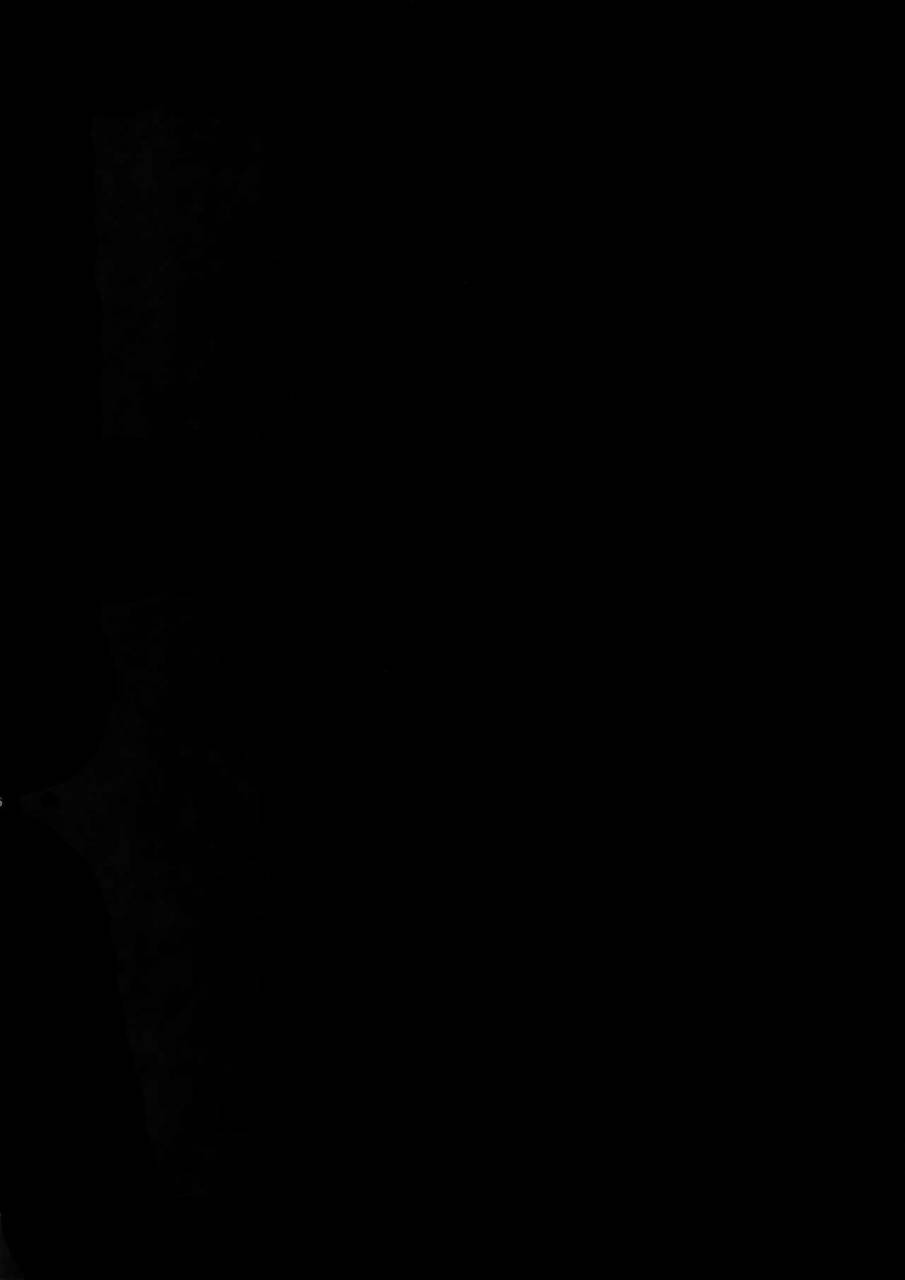 dai-4-ji-root4to5-crazy9-ichitaka-nameru-no-wa-kinshi-desu-fatezero