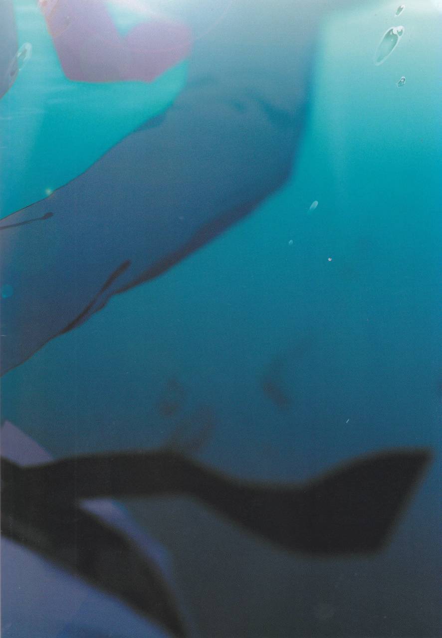 douyara-deban-no-youda-8-fuzainoyamada-fuzai-yumoto-mayday-boku-no-hero-academia