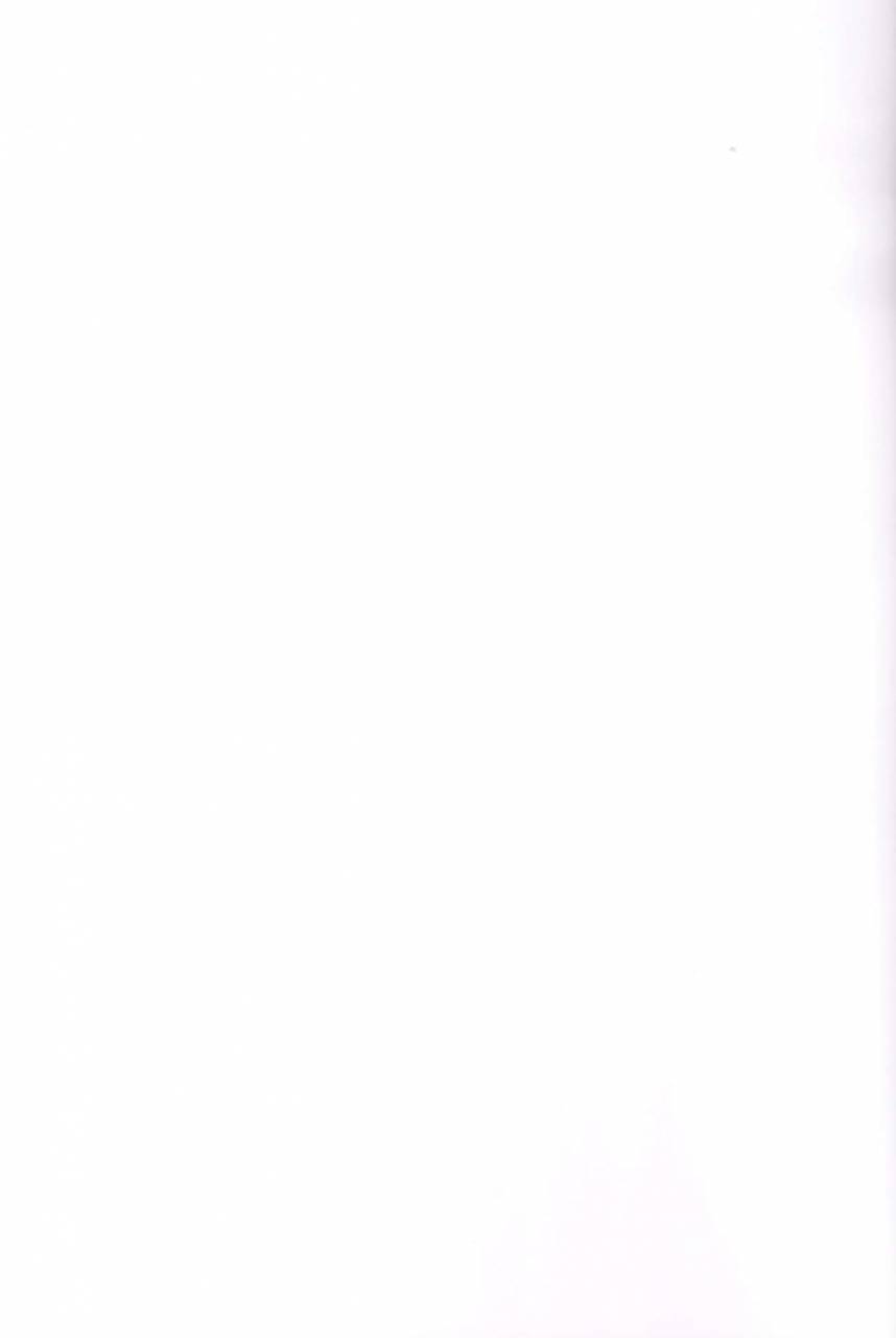 futaket-13-jisyakunyudo-hayuta-kikan-gentei-france-otokonoko-pickup-fate-grand-order-english-mysterymeat3