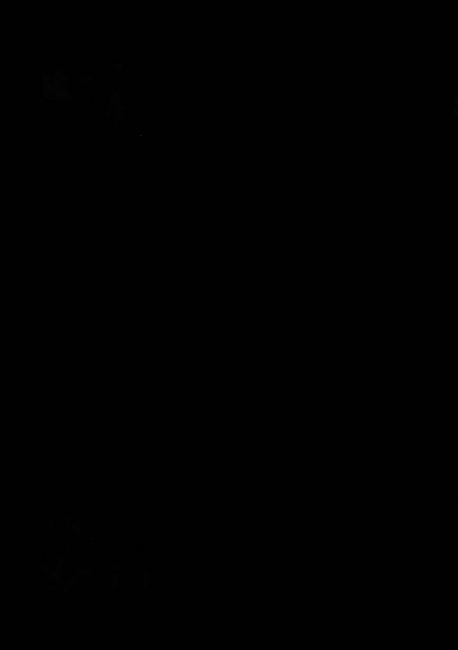 harucc20-crazy9-ichitaka-aru-daikousha-no-shuki-fatezero