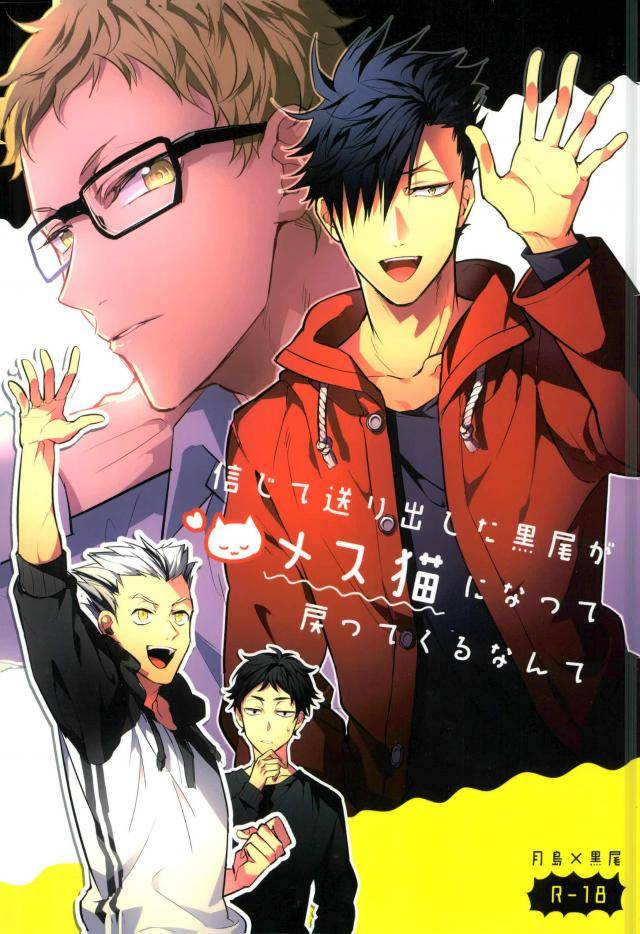 harucc20-diego-mano-shinjite-okuridashita-kuroo-ga-mesuneko-ni-natte-modottekuru-nante-haikyuu