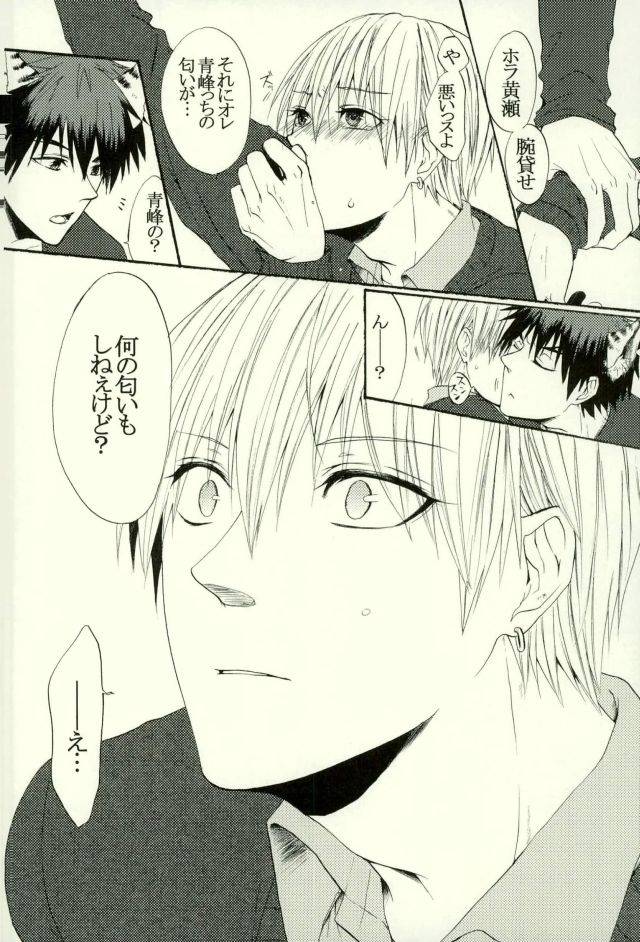 harucc21-cutiecomplex-hatsuka-neko-no-kimochi-3-kuroko-no-basuke