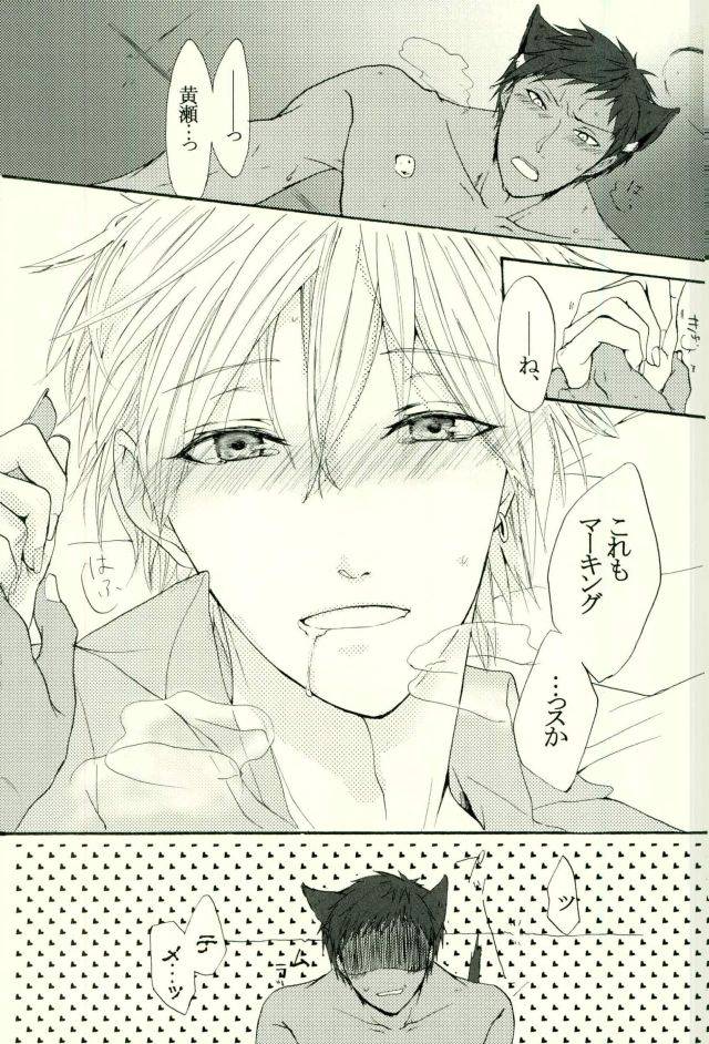 harucc21-cutiecomplex-hatsuka-neko-no-kimochi-3-kuroko-no-basuke