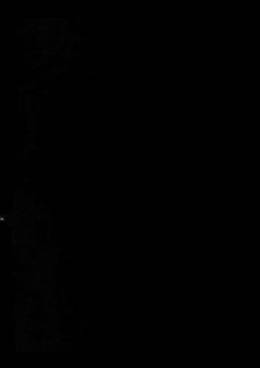 harucc22-crazy9-ichitaka-gainen-reisou-wa-kiniro-no-yume-o-miru-4-fategrand-order