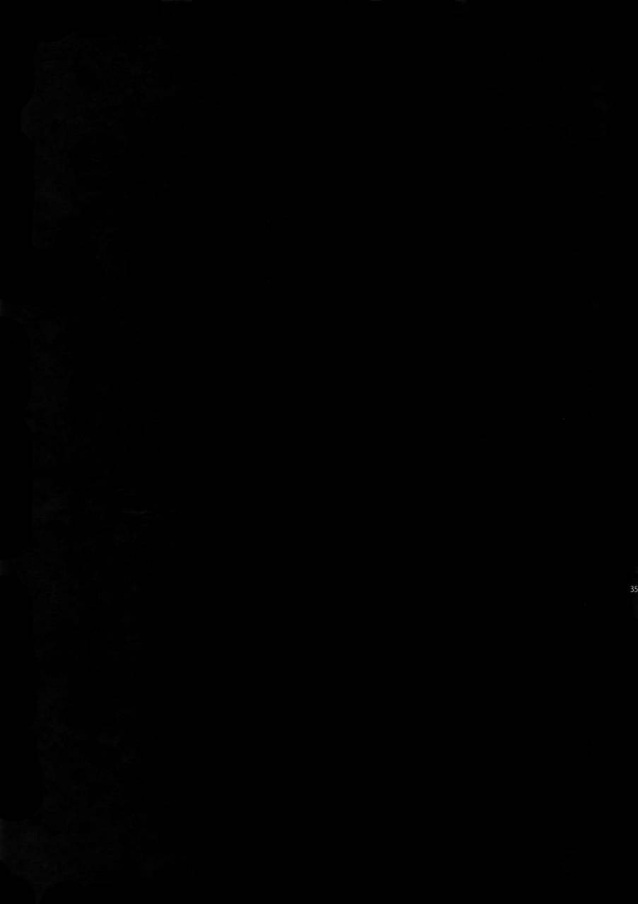 harucc22-crazy9-ichitaka-gainen-reisou-wa-kiniro-no-yume-o-miru-4-fategrand-order