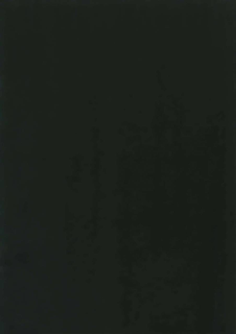 love-forgiven-2-kuroquis-kuro-something-white-meitantei-conan