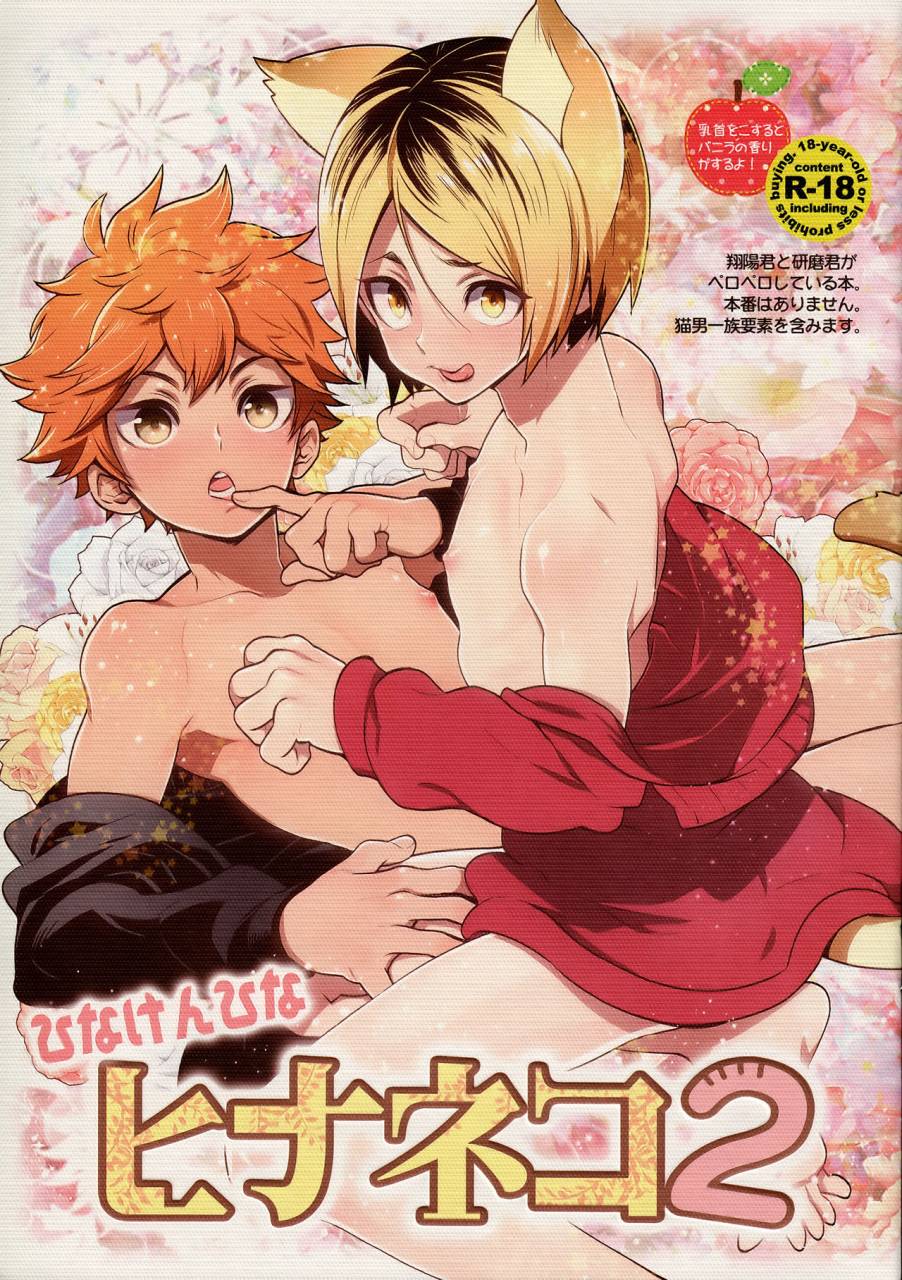 rts5-chigen-torino-kosugi-hina-neko-2-haikyuu