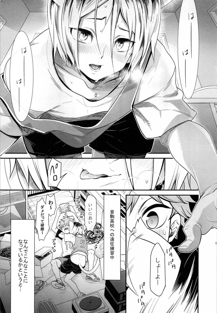 rts5-chigen-torino-kosugi-hina-neko-2-haikyuu