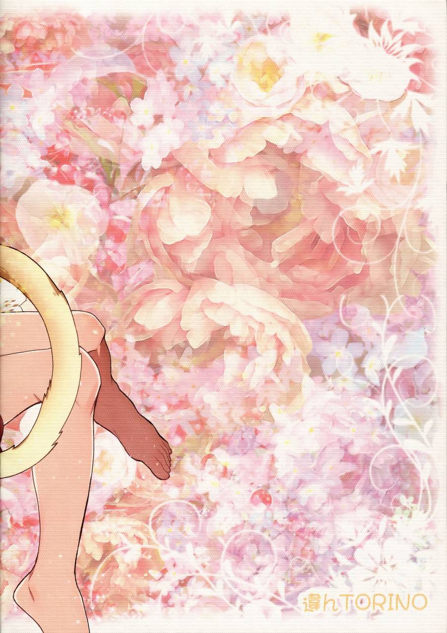 rts5-chigen-torino-kosugi-hina-neko-2-haikyuu