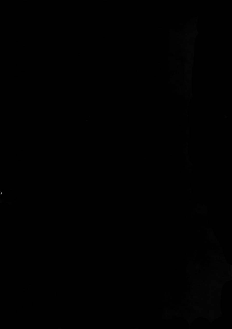 spark11-crazy9-ichitaka-gainen-reisou-wa-kiniro-no-yume-o-miru-3-fategrand-order