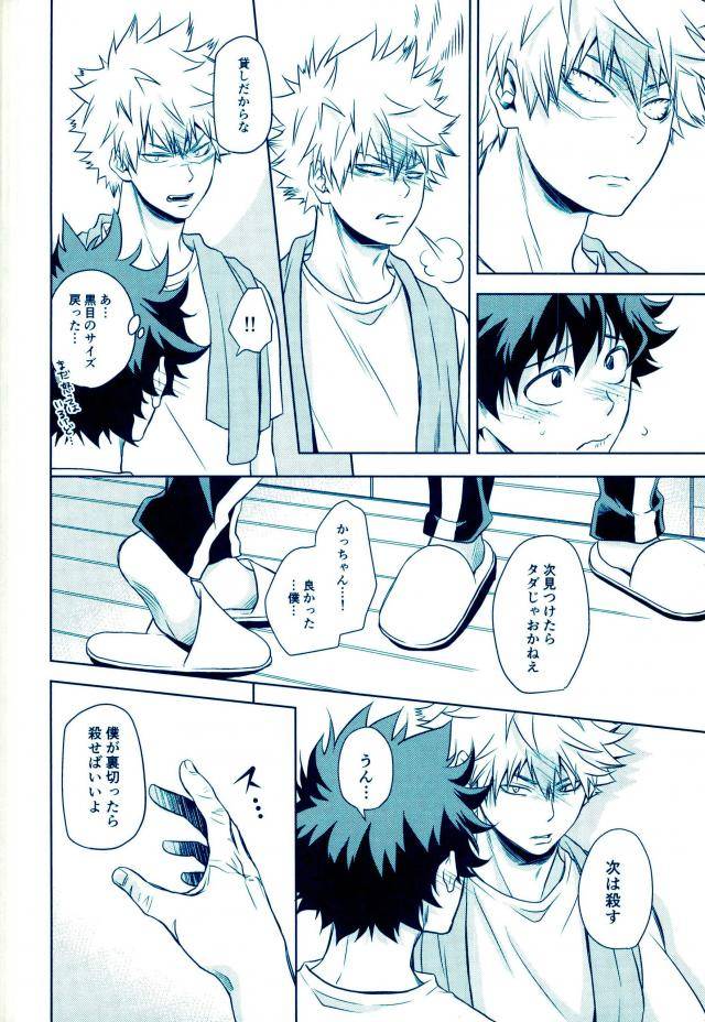 spark11-itadaki-cat-nekota-kojirow-yacchimae-boku-no-hero-academia