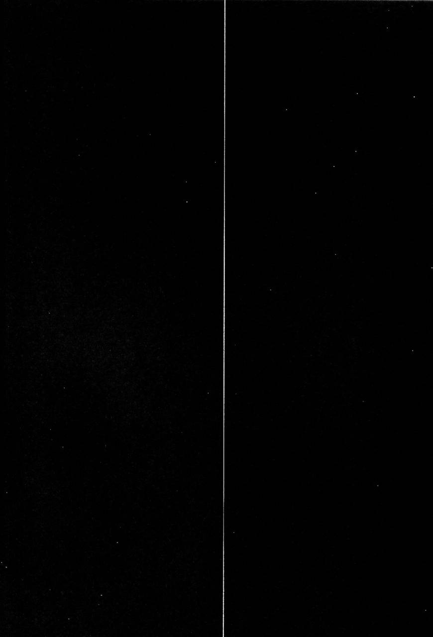 spark11-sugahouse-sugayama-shiiku-bako-boku-dake-ga-inai-machi