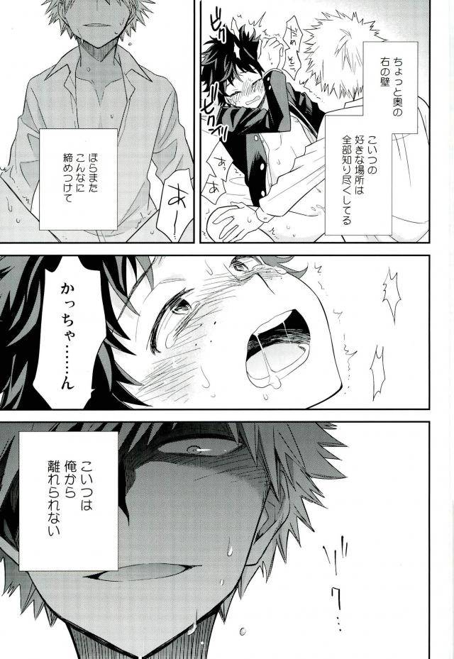 spark11-bb-ume-paradise-lost-boku-no-hero-academia