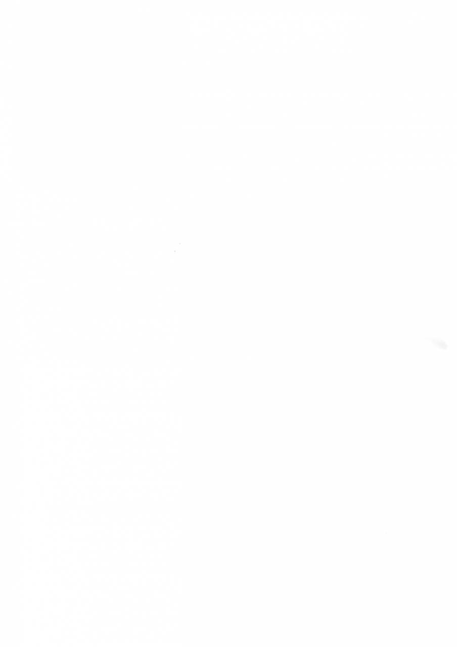 spark12-kometubu-rittiri-es-no-kaihou-boku-no-hero-academia