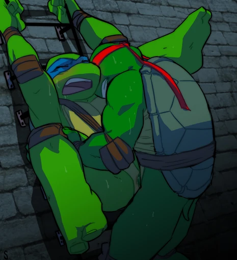 leonardo-tmntraphael-tmnt