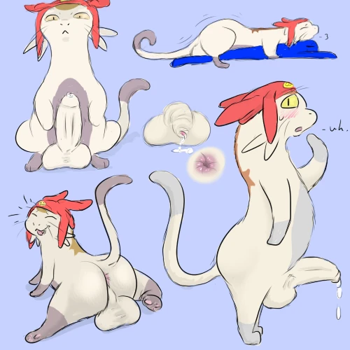 meow-space-dandy