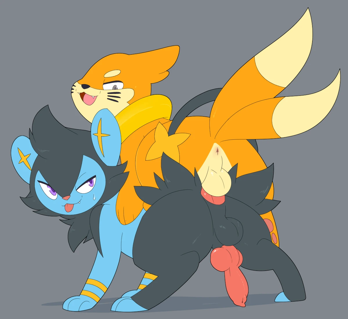 buizelluxio