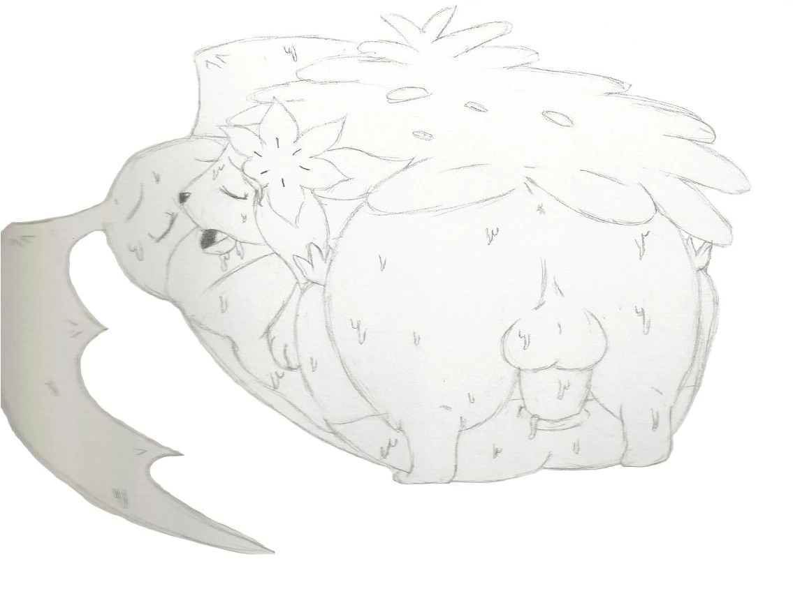 patamonshaymin
