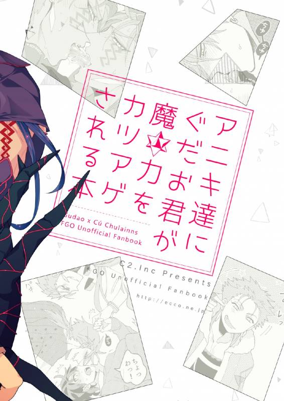 [C2.Inc (Chaco Nediwo)] Aniki-tachi ni Gudao-kun ga Maryoku o Katsuage Sareru Hon (Fate_22