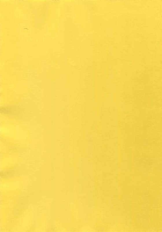 [CROCODILE-Ave. (Gangstar Yoshio)] MegaGra 2 Jakoru Ookami (Gravitation)_001