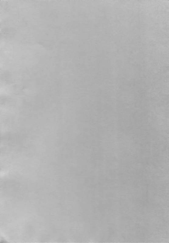 [CROCODILE-Ave. (Gangstar Yoshio)] Megamix G Kitsune (Gravitation)_01