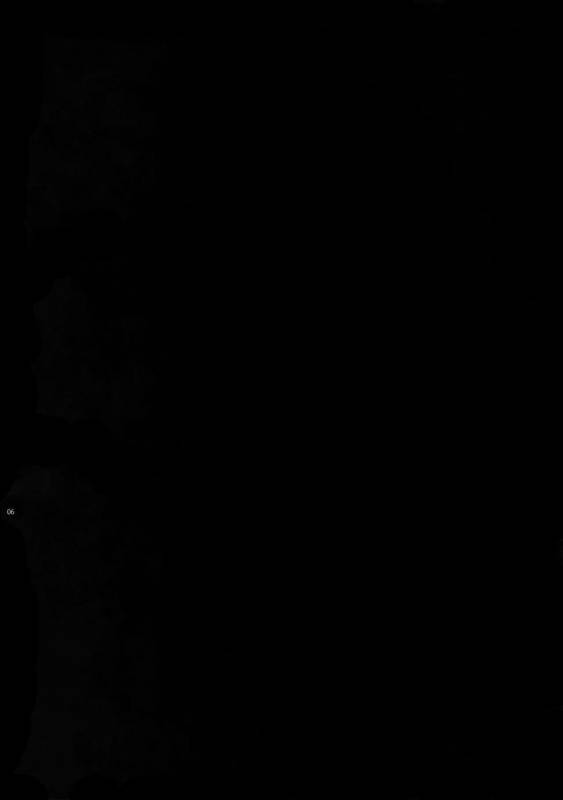 [Crazy9 (Ichitaka)] Shinen ni Itaru Koi (FateGrand Order) [2017-06-11]_03