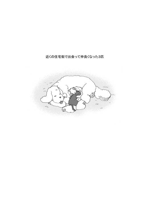 [GAZE] まんがつめ 7_74