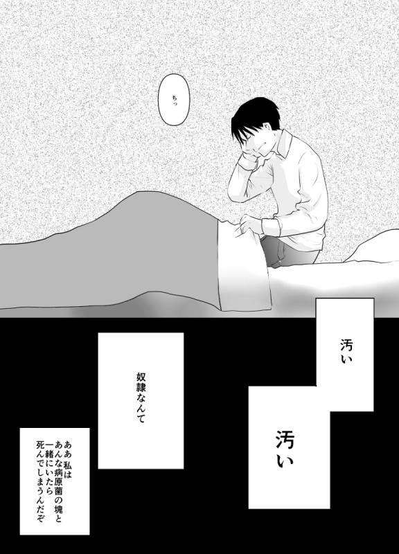 [Kyoka Suigetsu]Rh - no koi 1 (Fullmetal Alchemist)_15