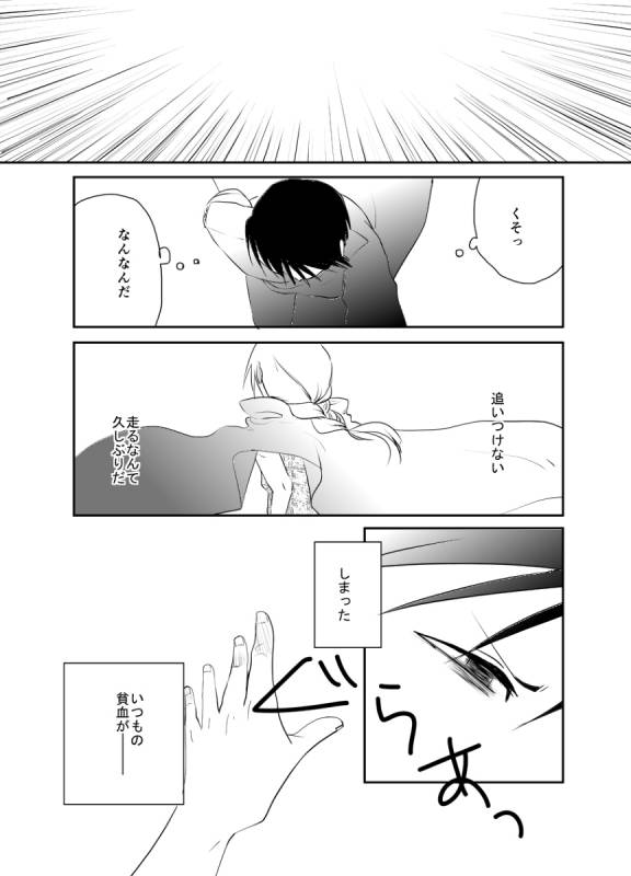 [Kyoka Suigetsu]Rh - no koi 1 (Fullmetal Alchemist)_21