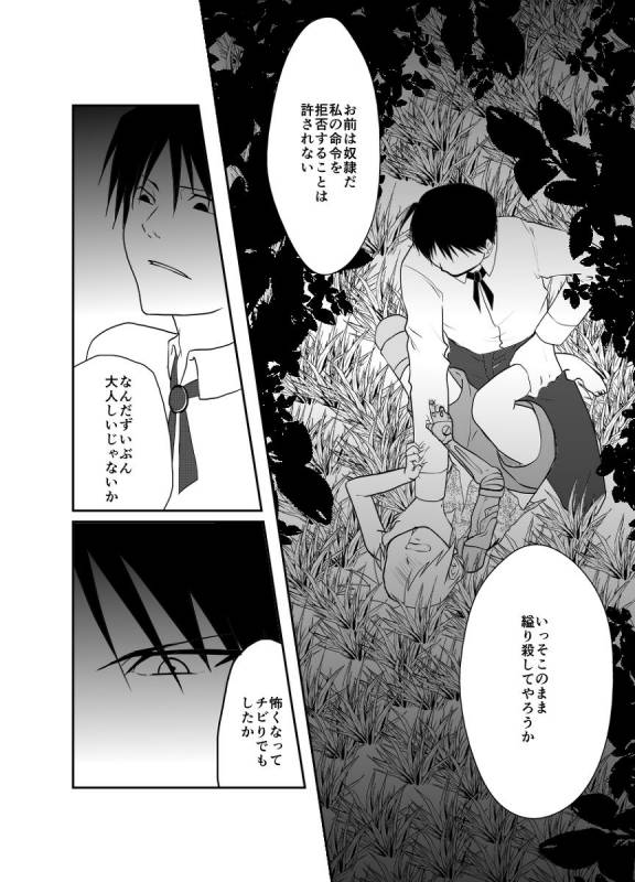 [Kyoka Suigetsu]Rh - no koi 1 (Fullmetal Alchemist)_33