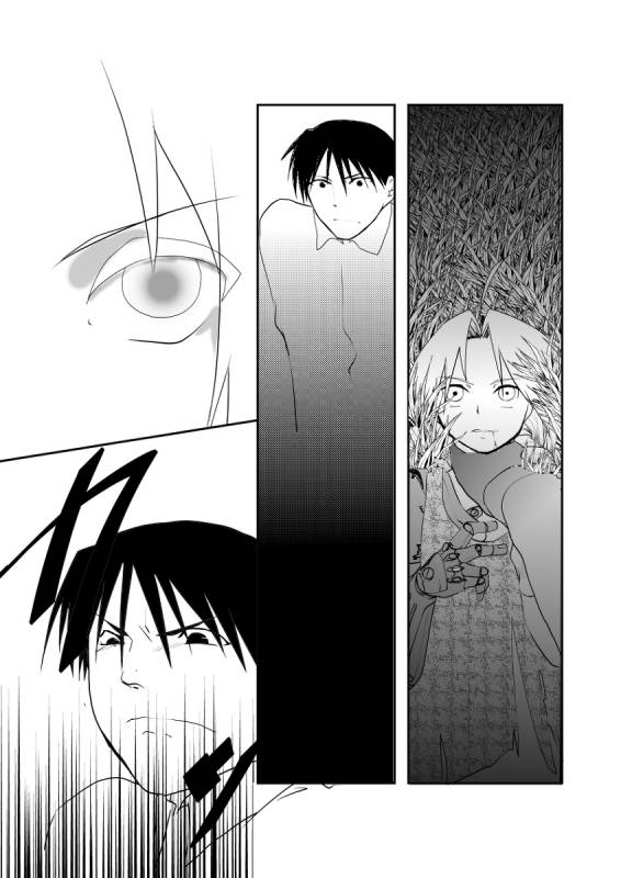 [Kyoka Suigetsu]Rh - no koi 1 (Fullmetal Alchemist)_34