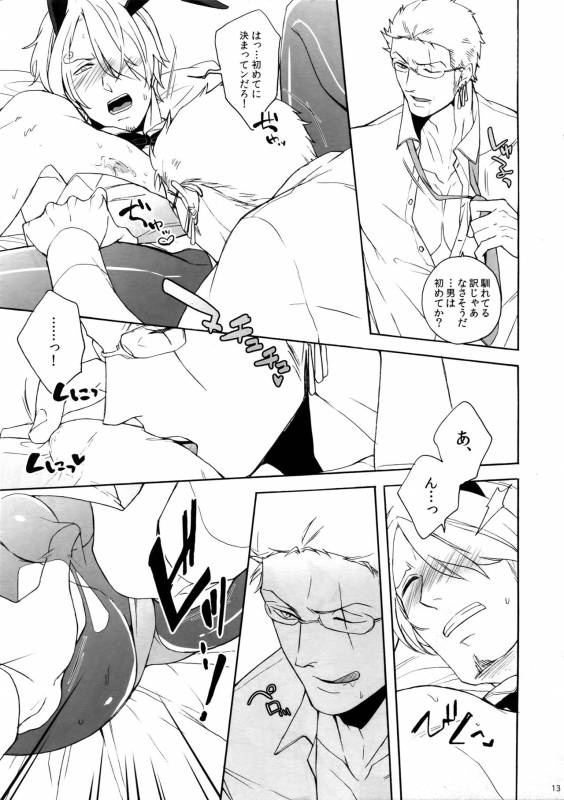 [Kyozoya (Kunoichi)] The Ruin of the Bunny Boy. (One Piece)_11