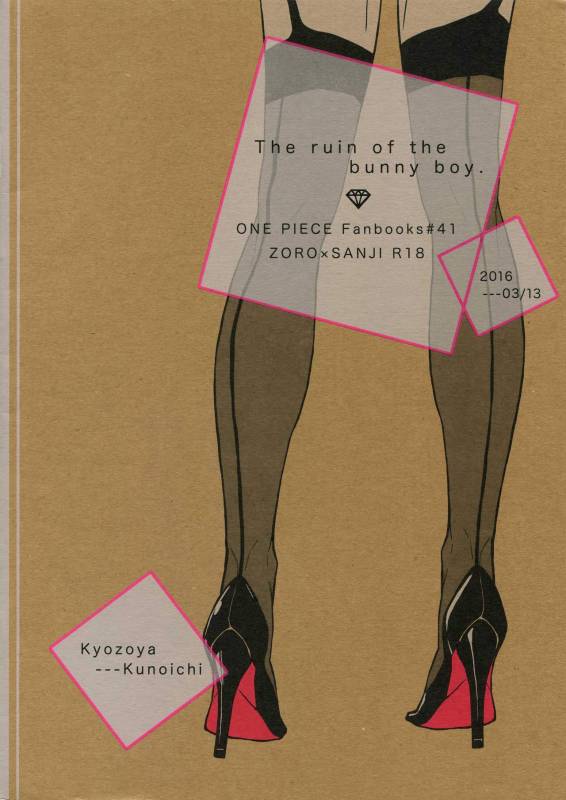 [Kyozoya (Kunoichi)] The Ruin of the Bunny Boy. (One Piece)_25