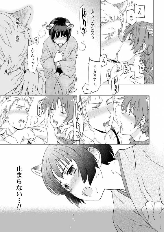 [Marinconia (Maru Mary)] Axis Powers CANIDAE!!! (Axis Powers Hetalia) [Digital]_14