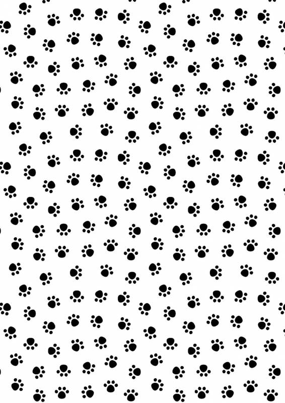 [Ne. (Shiromitsu Daiya)] Shiri Ana Hore Wanwan [English] {Shotachan}_30