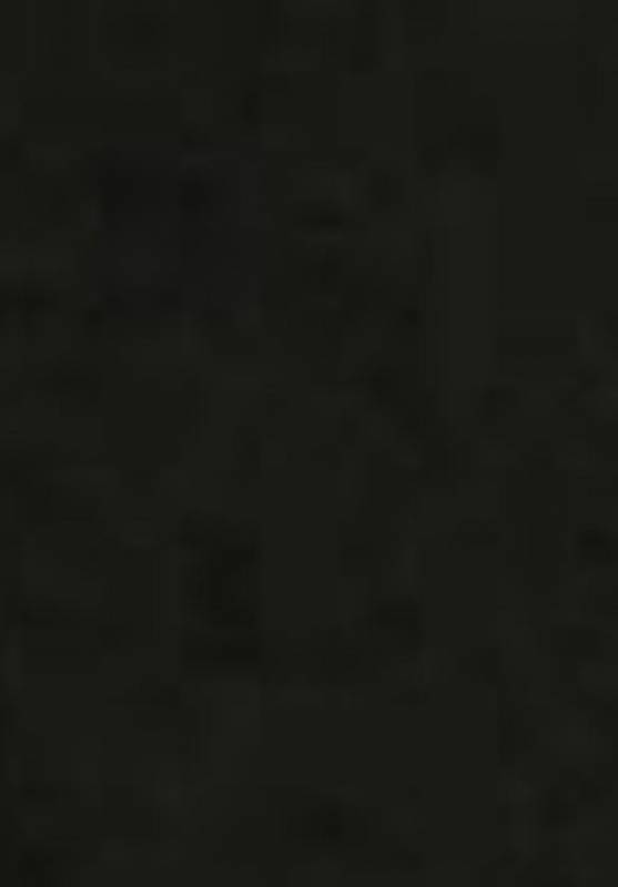 [Puppukupu (Kawaisaw)] ASSTRSRVNT (FateGrand Order) [Digital]_20