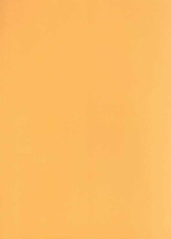 [Ranko] First - Yuri on Ice dj [JP]_31