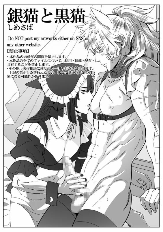[Shimesaba (isaki)] Silver Neko to Black Neko_00