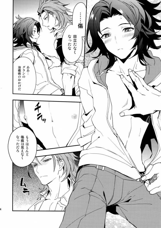 [SilverRice (Sumeshi)] Perfect Summer Vacation (Granblue Fantasy)_12