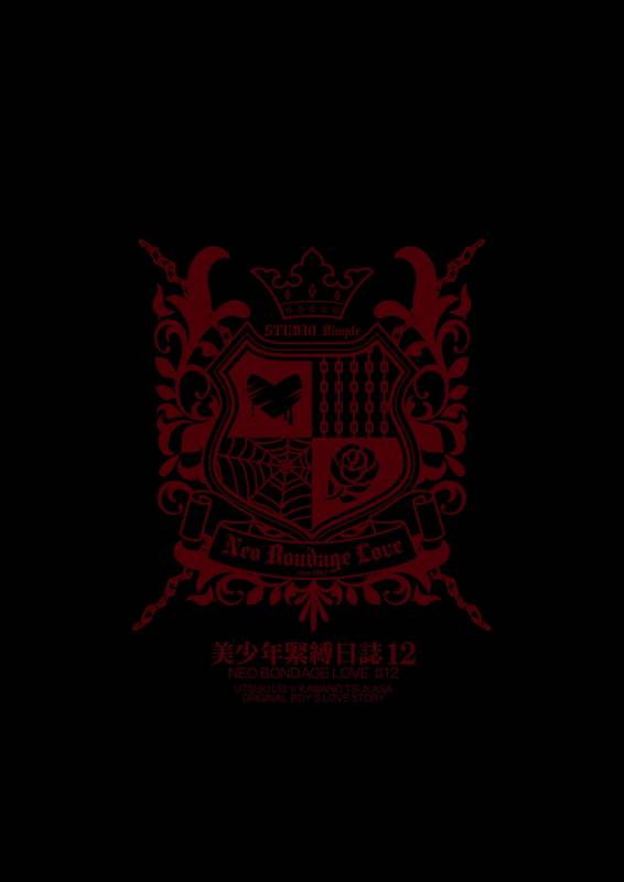 [Studio Dimple (Tsumugi Kyuuta)] Bishounen Kinbaku Nisshi 12 [Digital]_02