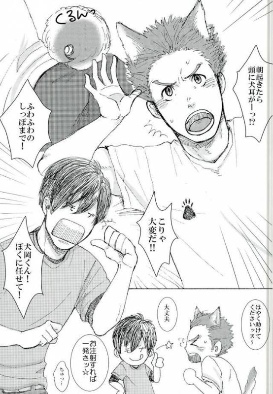 ココ♂掘れわんわんっ！ (ハイキュー!!)_01