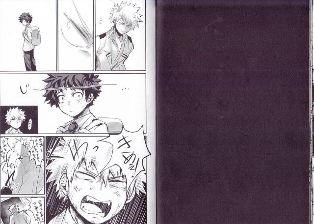 (Bakukoi Dynamite!) [Sasami no Maruyaki (Toribami Sasami)] Nitamono Doushi (Boku no Hero Academia)_11