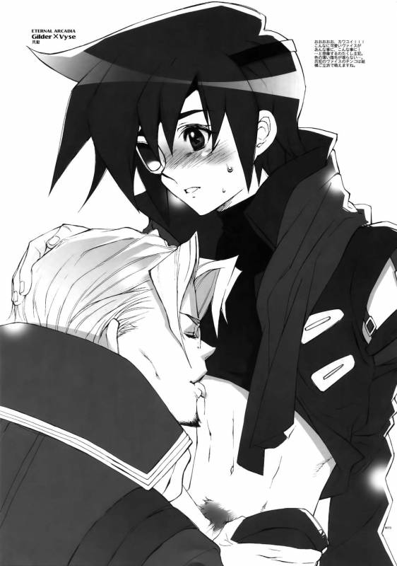 (C78) [Article 60 of Criminal Code (Shuhan)] Anthurium.EA01 Shinsouban (Skies of Arcadia)_71