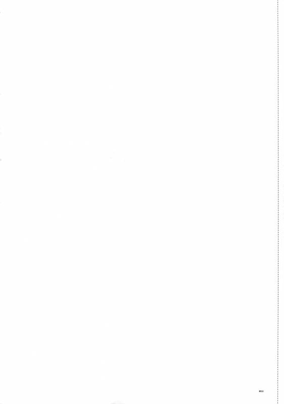 (C78) [Article 60 of Criminal Code (Shuhan)] Dianthus. EA02 (Skies of Arcadia)_08