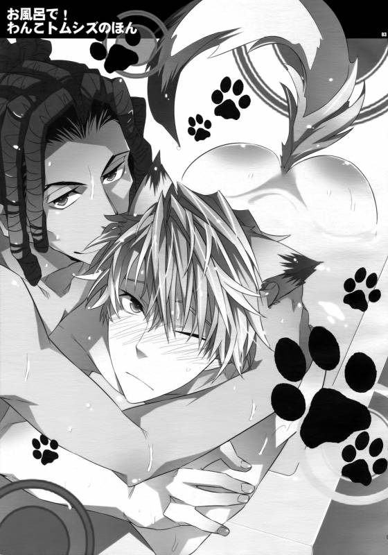 (C81) [Crazy9 (Ichitaka)] Ofuro de! Wanko TomShizu no Hon (Durarara!!)_01