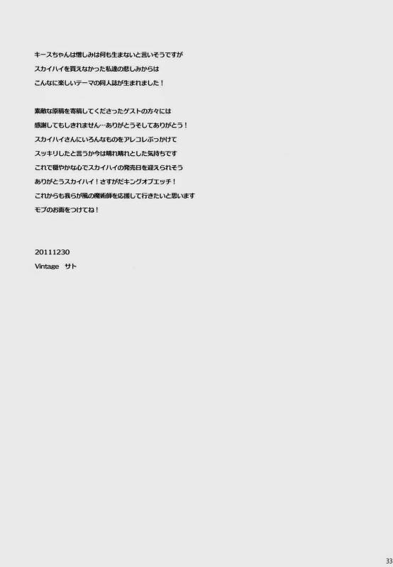 (C81) [MICROMACRO, Vintage (Yamada Sakurako, sato)] PUT UP SKYHIGH FOR AUCTION (TIGER & BUNNY)_31