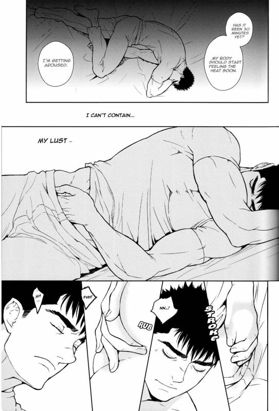 (C88) [Killer Bambi (Matsumoto Inaki)] Heartache 2 (Berserk) [English] [cseg64]_29