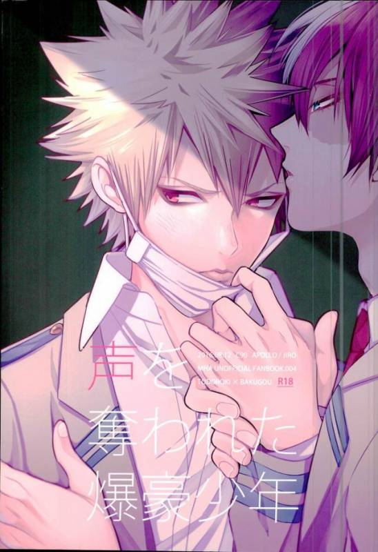 (C90) [APOLLO (JIRO)] Koe o Ubawareta Bakugou Shounen (Boku no Hero Academia)_00