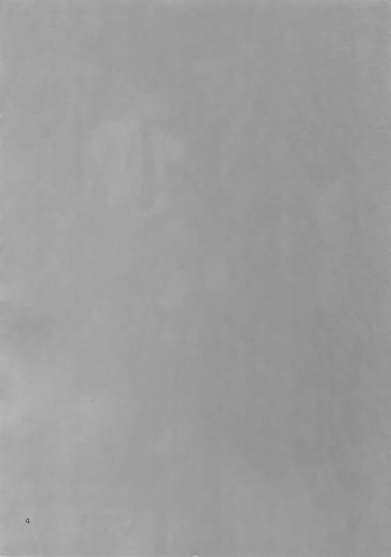 (C90) [Marshmallow Kyoudan (Tenkawa Ai)] Uruwashi no Tinker Bell 7_02