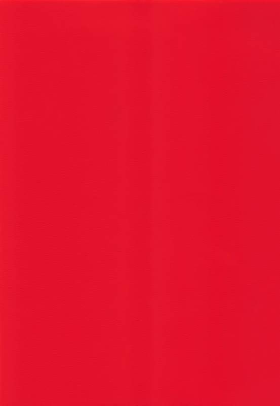 (C91) [Kuromisakaijou (Ikezaki Misa)] FateDTorder courseAlexander (FateGrand Order) [C_28